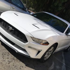 Meet your Posher, Ingrid